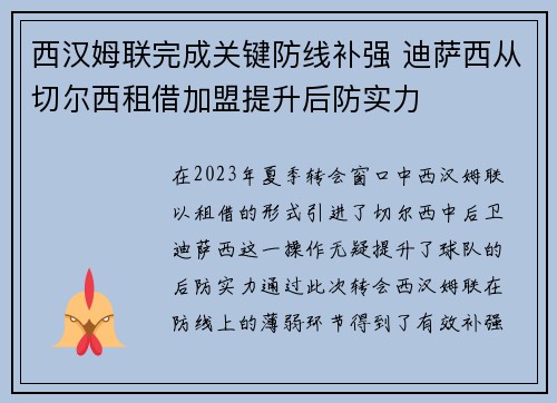 西汉姆联完成关键防线补强 迪萨西从切尔西租借加盟提升后防实力 西汉姆联完成关键防线补强 迪萨西从切尔西租借加盟提升后防实力